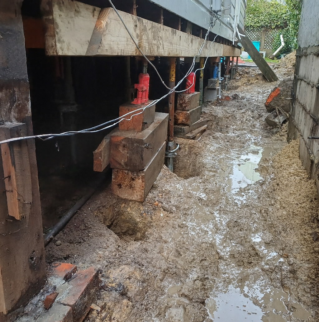 chatgpt image nov 18, 2025 at 11 18 34 am