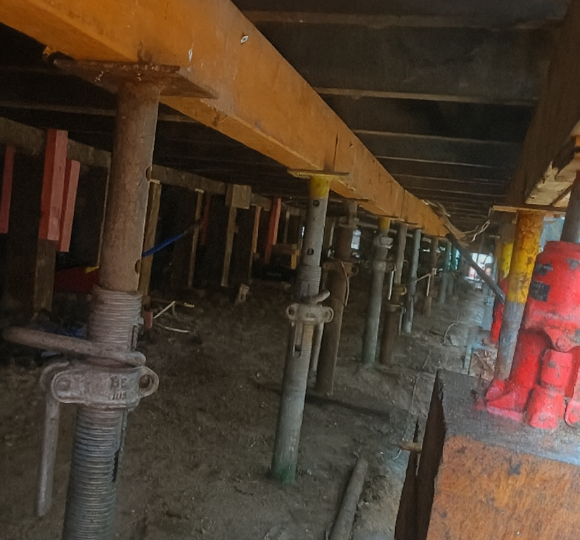 chatgpt image nov 18, 2025 at 11 29 10 am