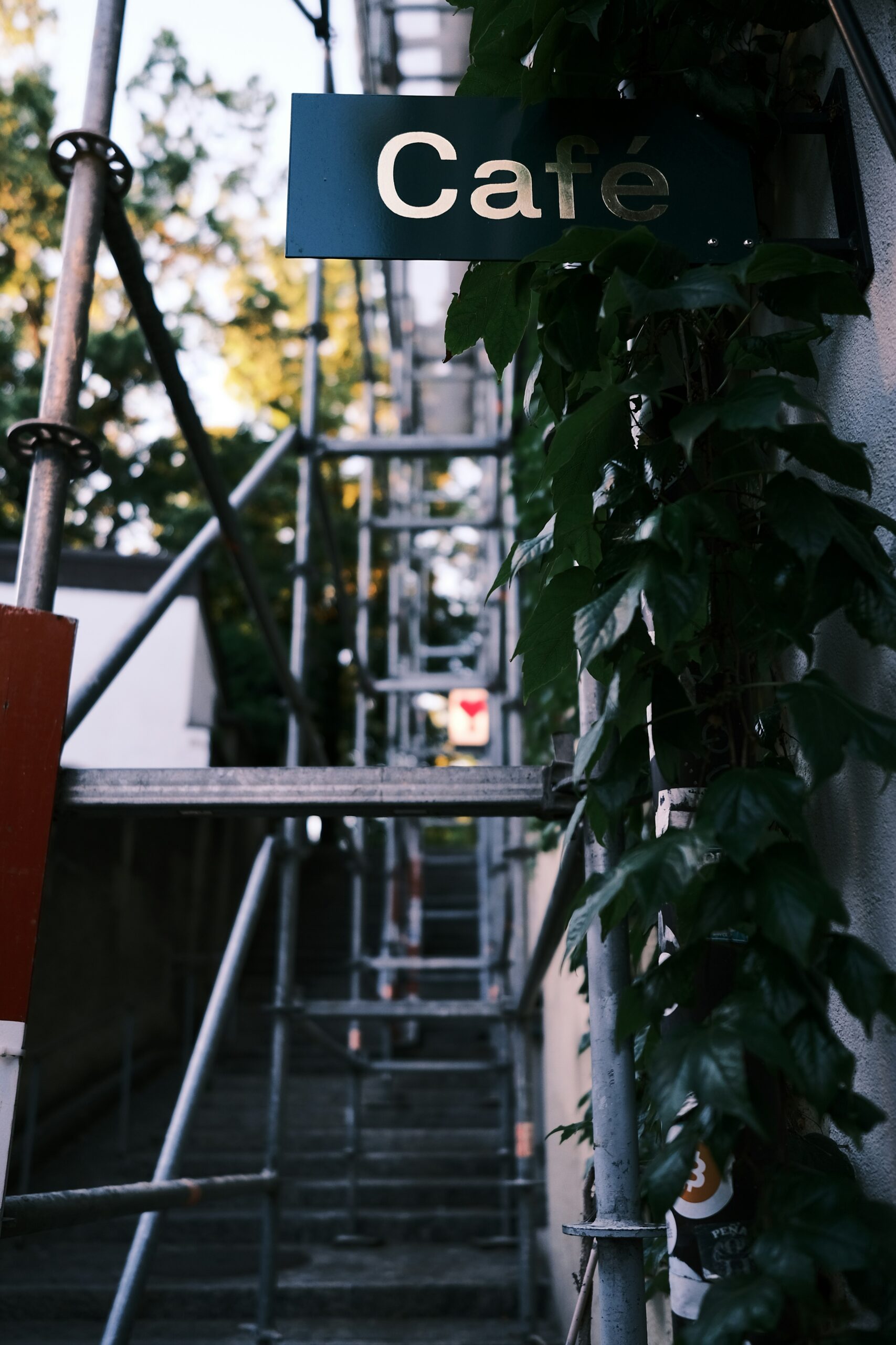 claudio schwarz afbqef2mmri unsplash